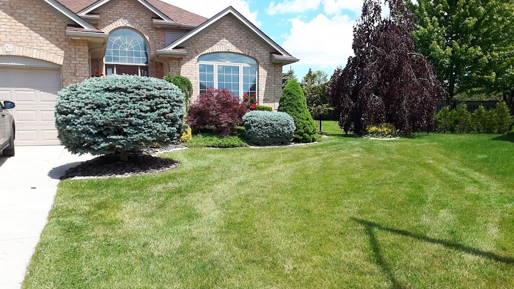 Matthias Landworx | Box 535, Belmont, ON N0L 1B0, Canada | Phone: (519) 851-2422