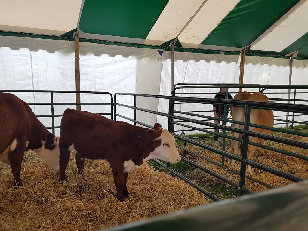 Georgetown Fairgrounds | 1 Park Ave, Halton Hills, ON L7G 3H9, Canada | Phone: (905) 873-2600