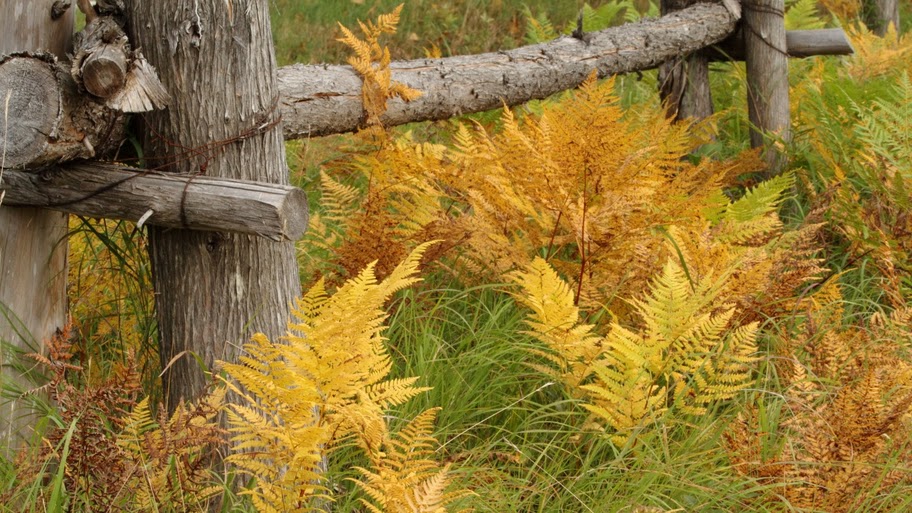 Plumes et Glisse | 17 Chemin des Pentes N, Lac-Supérieur, QC J0T 1P0, Canada | Phone: (819) 688-3444