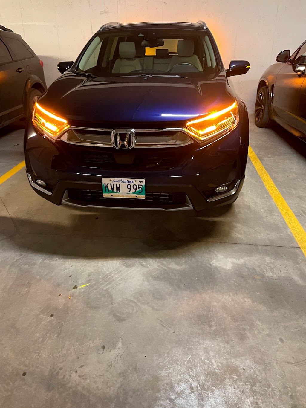 Bison Pointe II | 50 Bison Dr, Winnipeg, MB R3T 6E5, Canada | Phone: (204) 391-5651