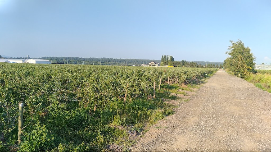 JP Farms | 5863 104 St, Delta, BC V4K 3N3, Canada | Phone: (778) 869-4545