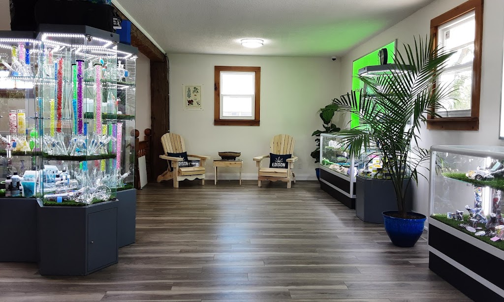 Treetz Cannabis | 280 First St, Collingwood, ON L9Y 1B1, Canada | Phone: (647) 382-9333