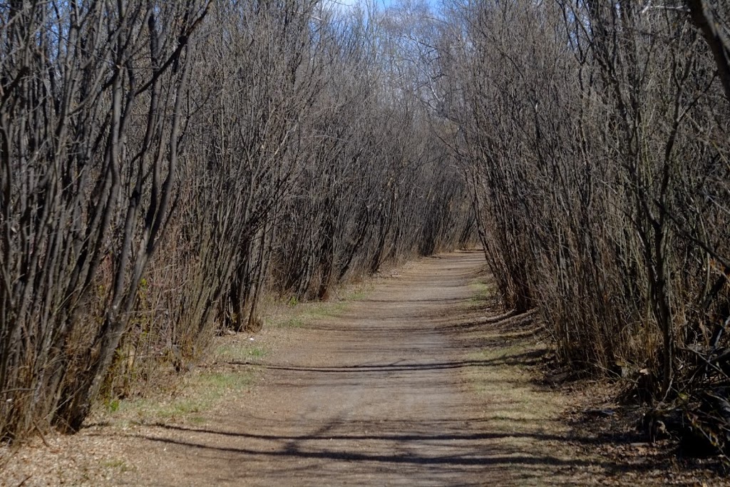 Royal Mayfair Golf Club | 9450 Groat Rd NW, Edmonton, AB T6G 2T5, Canada | Phone: (780) 432-0066