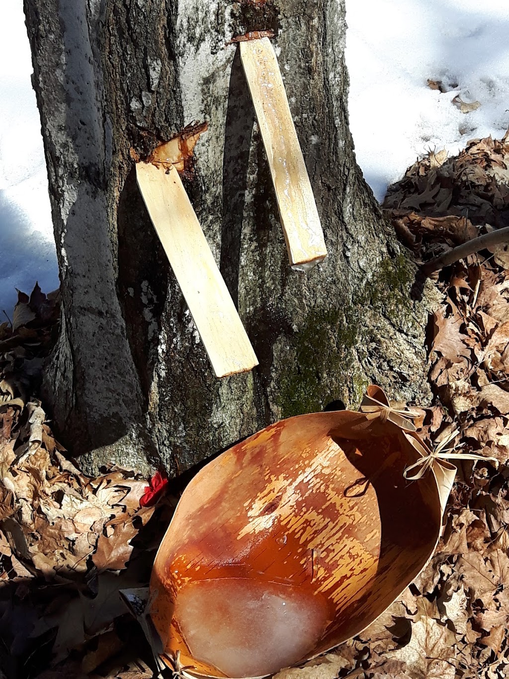 Ancient Trail Soap | Spillsbury Dr, Peterborough, ON K9K 0B4, Canada | Phone: (705) 745-7285