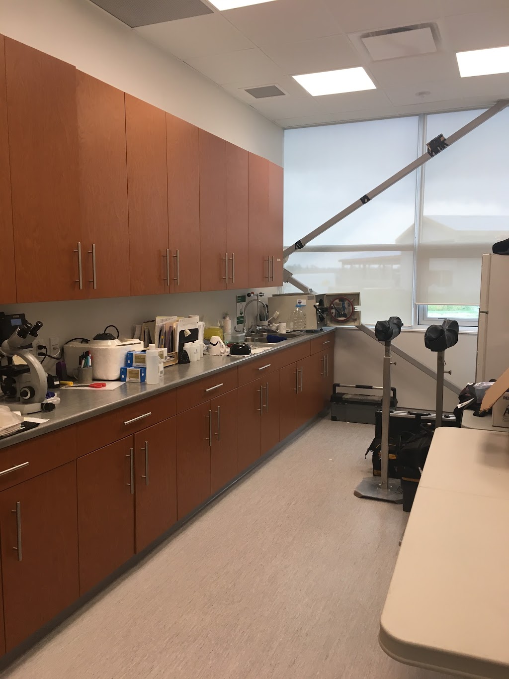 Agwest Veterinary Group Ltd. | 1625 Angus Campbell Rd, Abbotsford, BC V3G 2G4, Canada | Phone: (604) 229-7231