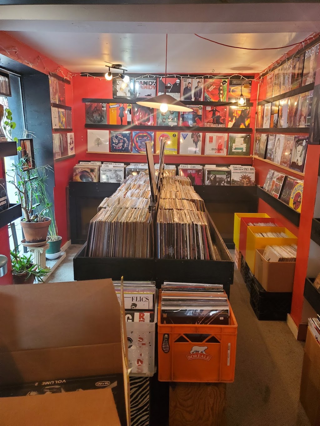 Musique-Disque Sonik | 4050 Rue Berri, Montréal, QC H2L 4H3, Canada | Phone: (514) 288-2113