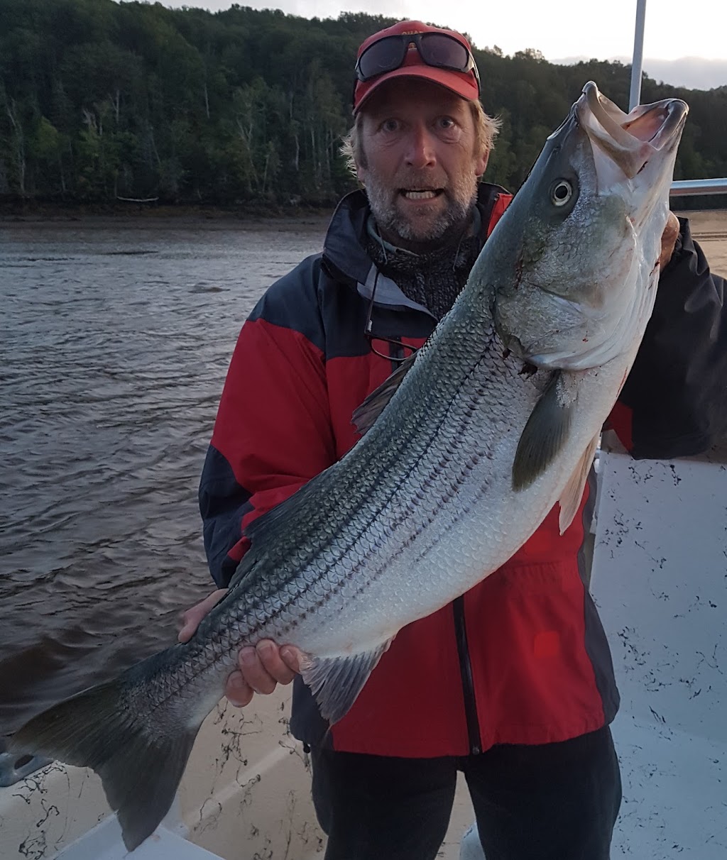 Annapolis Basin Charter Tours | 90 Water St, Digby, NS B0V 1A0, Canada | Phone: (902) 526-3583