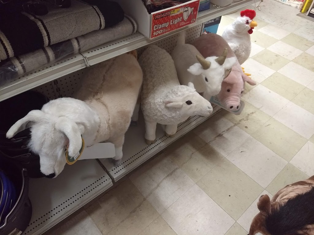 EVANSVILLE TRADING POST | 645 Evansville Rd, Brownington, VT 05860, USA | Phone: (802) 754-6305