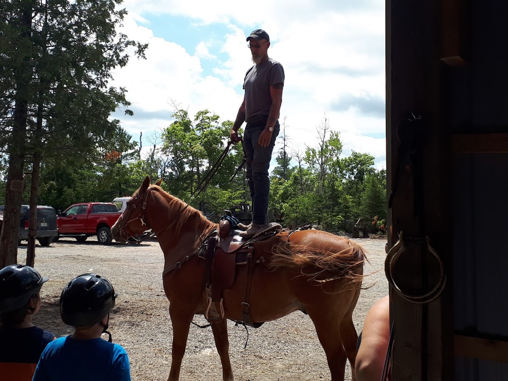 Kicking Mule Riding Stables & Cook House | 55 Gauthier Rd, Tehkummah, ON P0P 2C0, Canada | Phone: (705) 859-1040