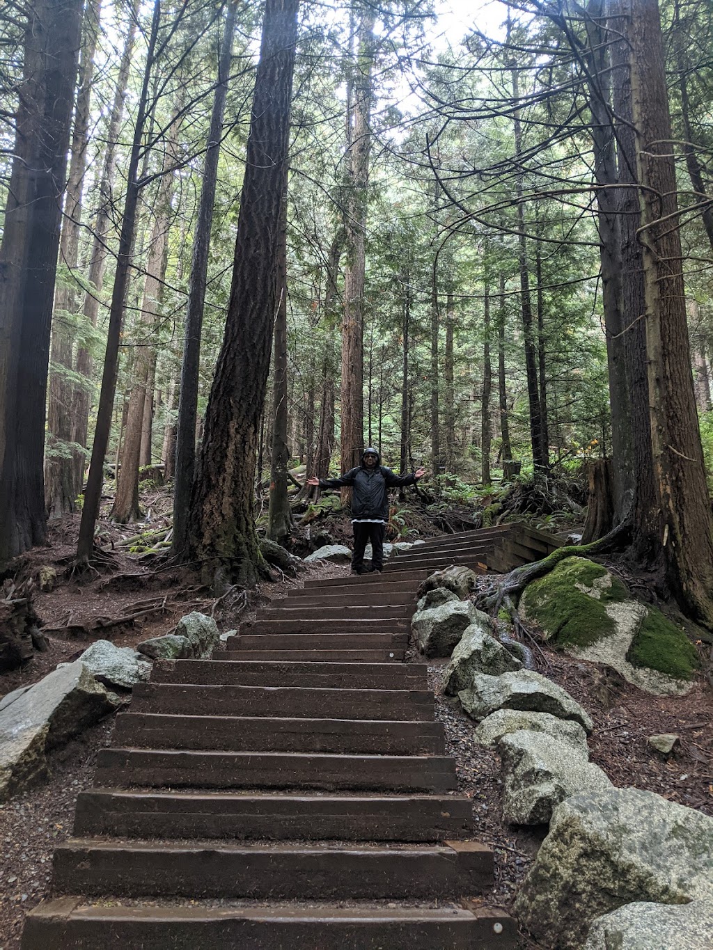 Shannon Falls Provincial Park | BC-97, Squamish-Lillooet D, BC V0N 1T0, Canada | Phone: (800) 689-9025