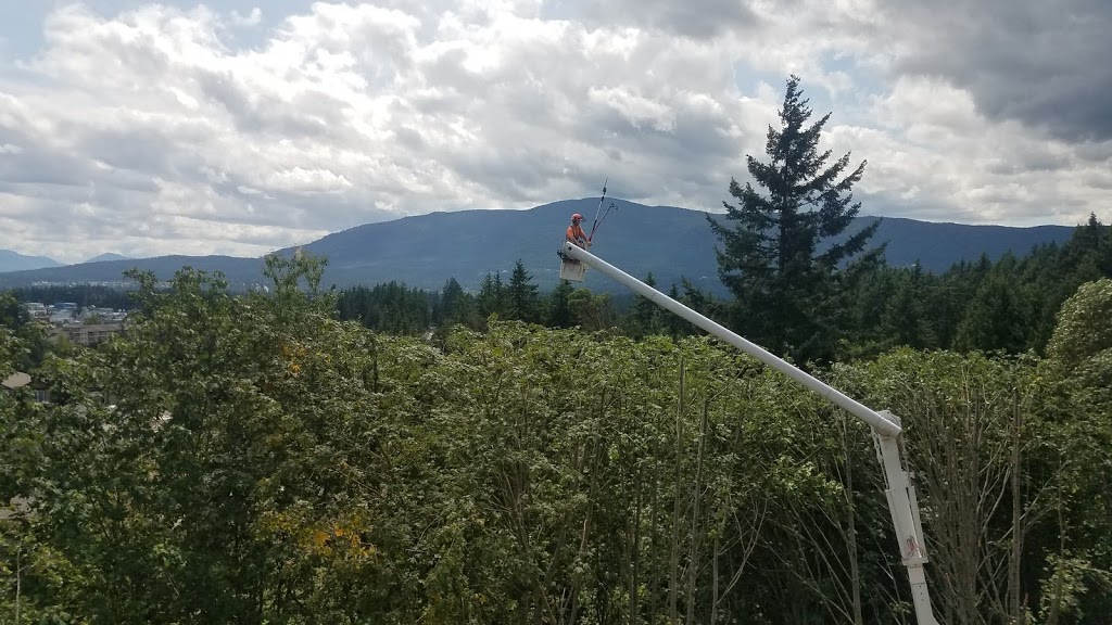 2 Mikes Tree Service | 7217 Lantzville Rd, Lantzville, BC V0R 2H0, Canada | Phone: (250) 714-9214
