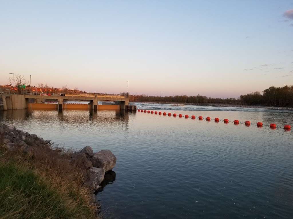 Calgary Parks & Rec Tee Times | 1001 Barlow Trail SE, Calgary, AB T2E 6S2, Canada | Phone: (403) 221-3510