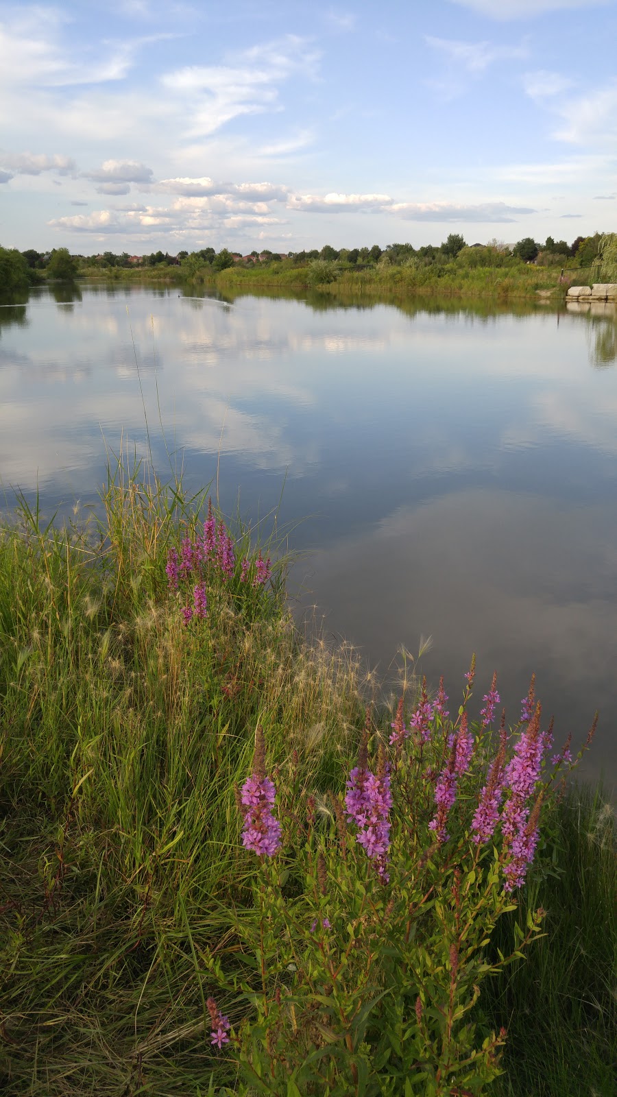 Osprey Marsh | 6076 Osprey Blvd, Mississauga, ON L5N 8K3, Canada