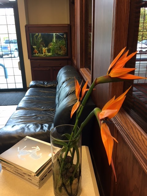 Platinum Leaf Facilities Inc. | 109-1628 Fosters Way, Delta, BC V3M 6S6, Canada | Phone: (604) 523-9500