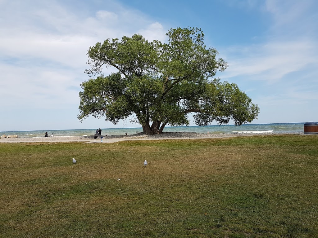 Coronation Park | 1426 Lakeshore Rd W, Oakville, ON L6L 1G2, Canada | Phone: (905) 845-6601