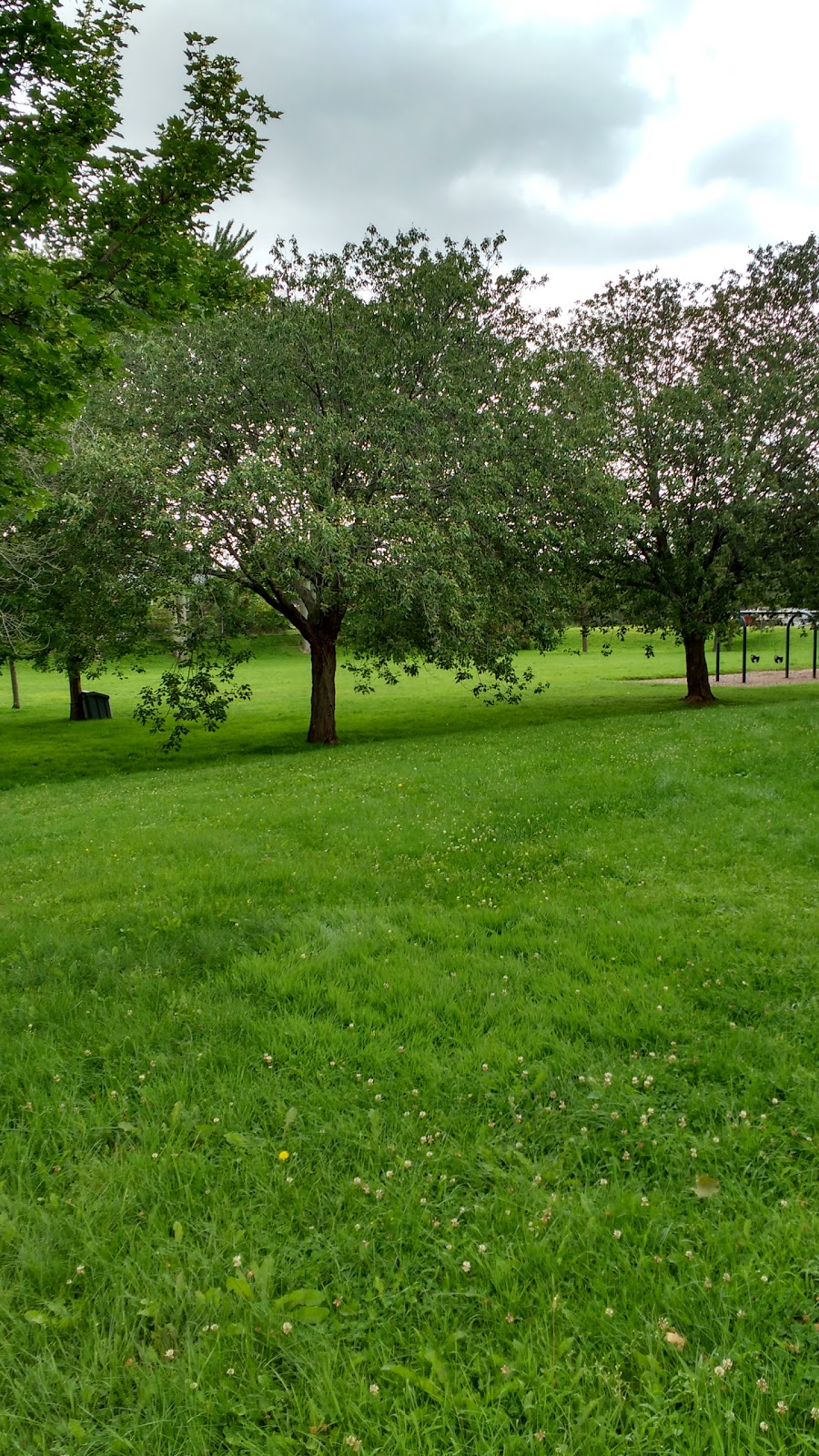 Thornton Dundee Park | 210 Thornton Rd N, Oshawa, ON L1J 6T8, Canada | Phone: (905) 725-9916