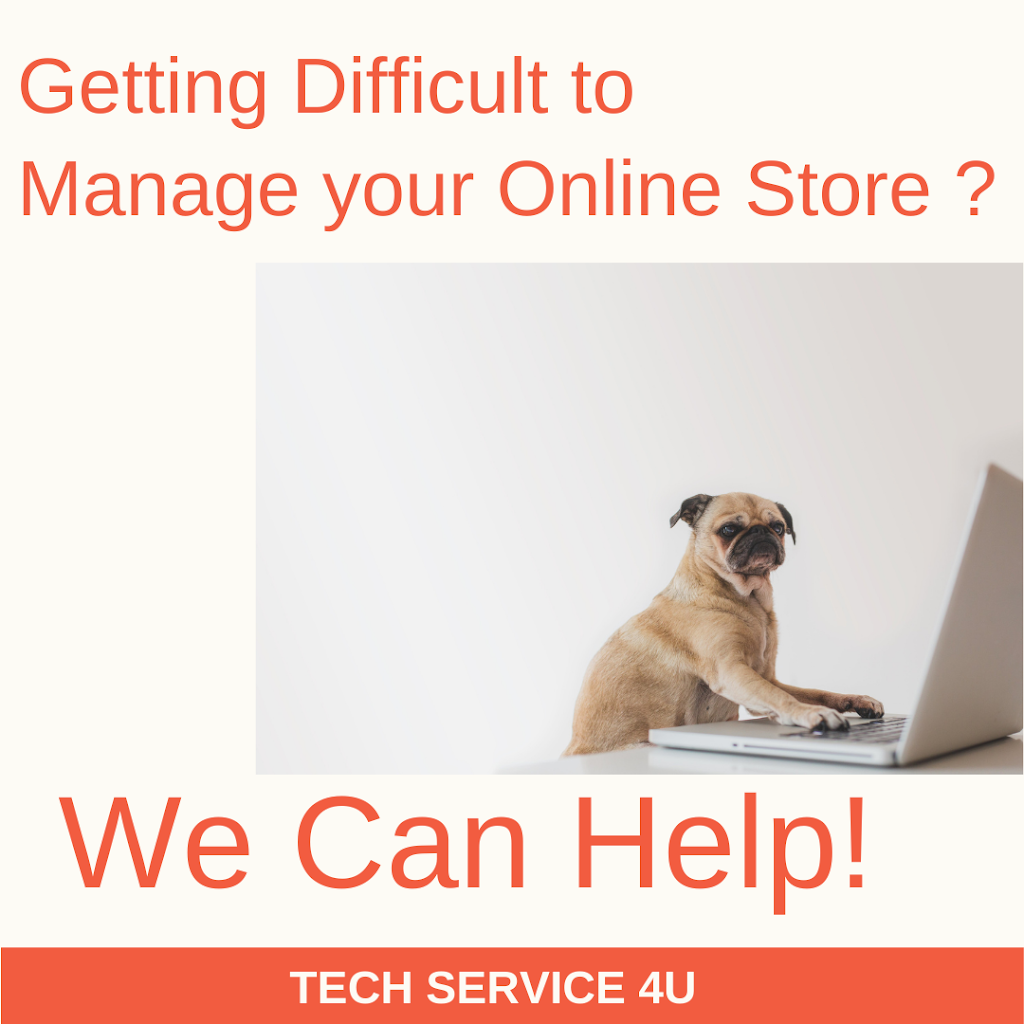 TECH SERVICE 4U | 4 Sonnichsen Pl, Winnipeg, MB R2Y 2H4, Canada | Phone: (431) 777-4837