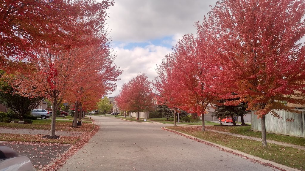 Duncairn Downs Park | 71 Duncairn Dr, Mississauga, ON M3B 1C8, Canada | Phone: (905) 615-4311