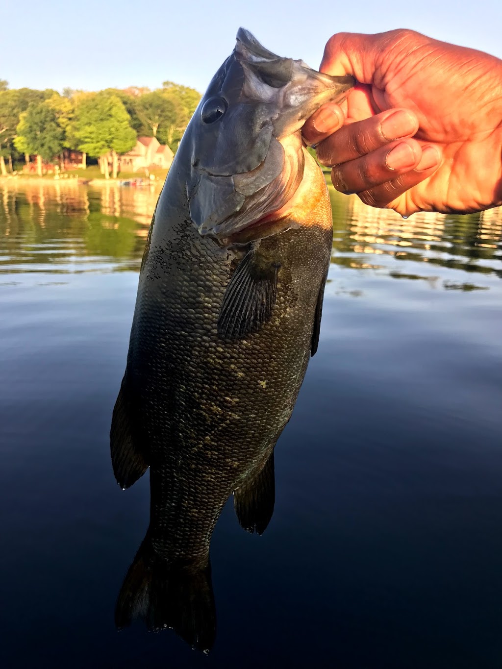 Lake Consecon Resort | 5430 Prince Edward County Rd 1, Consecon, ON K0K 1T0, Canada | Phone: (613) 399-5518