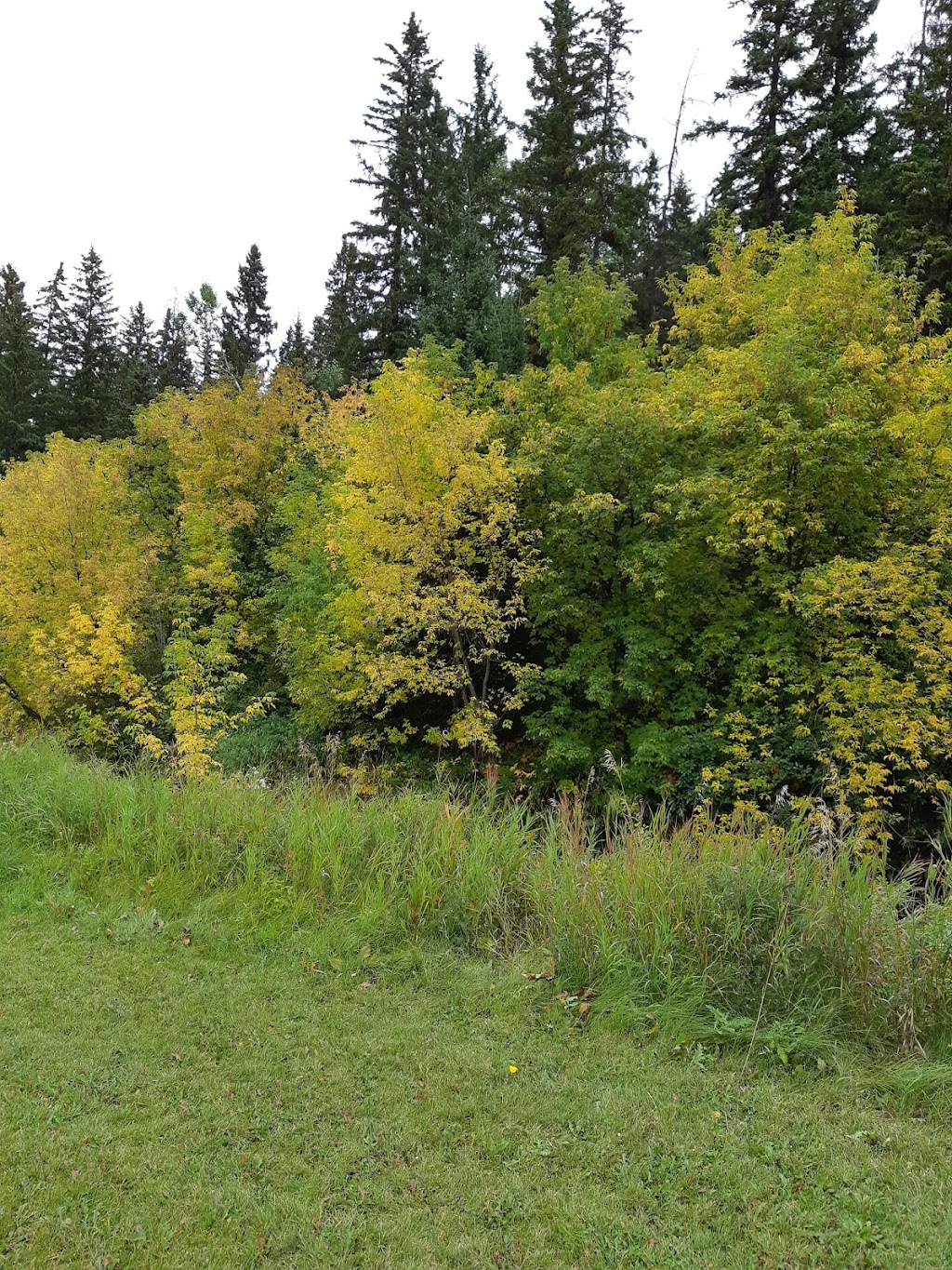 Waskasoo Park | 48 St, Red Deer, AB T4N 3T3, Canada | Phone: (403) 342-8159