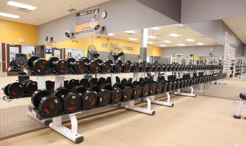 Fit4Less | 417 Wellington St Unit 32, St Thomas, ON N5R 5J5, Canada | Phone: (519) 631-1501