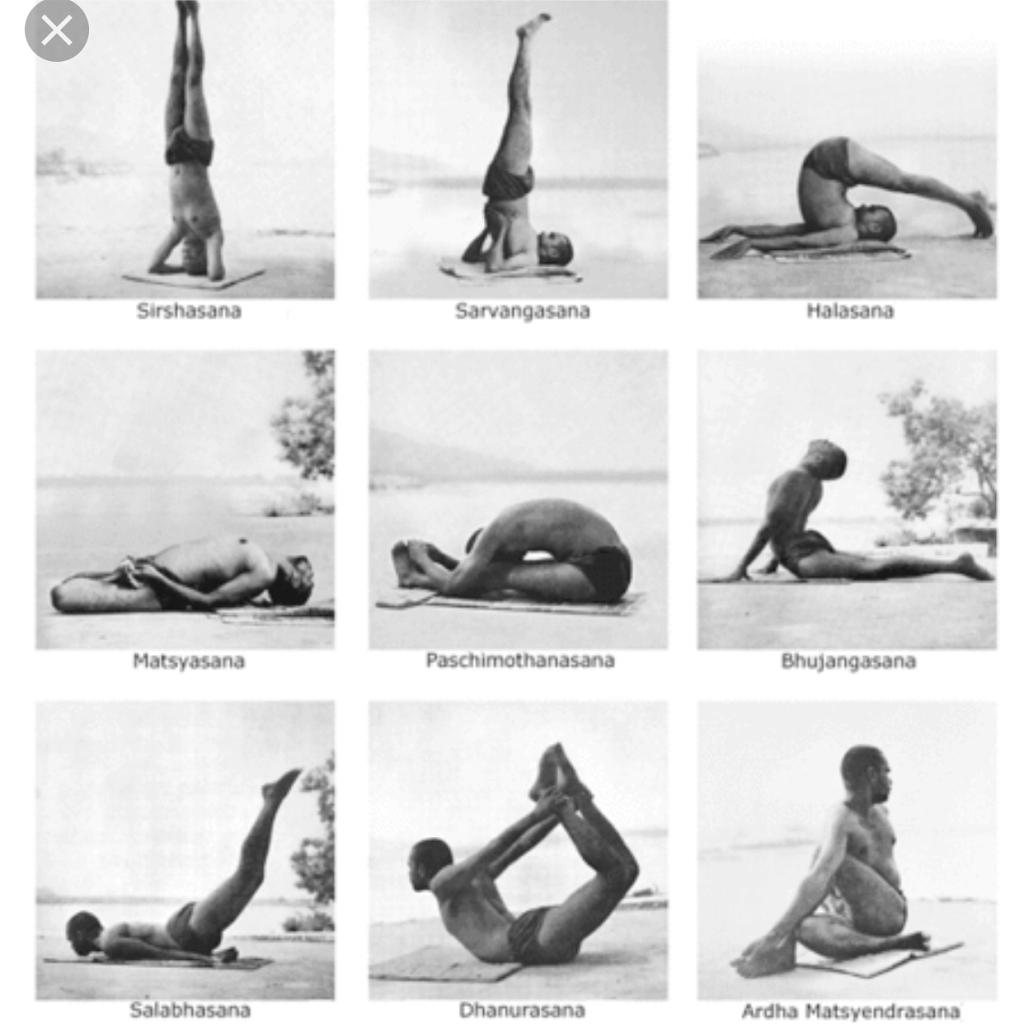 Sivananda yoga laval | Desserte ouest, Autoroute 13, Laval, QC H7X 4C9, Canada | Phone: (514) 238-6063