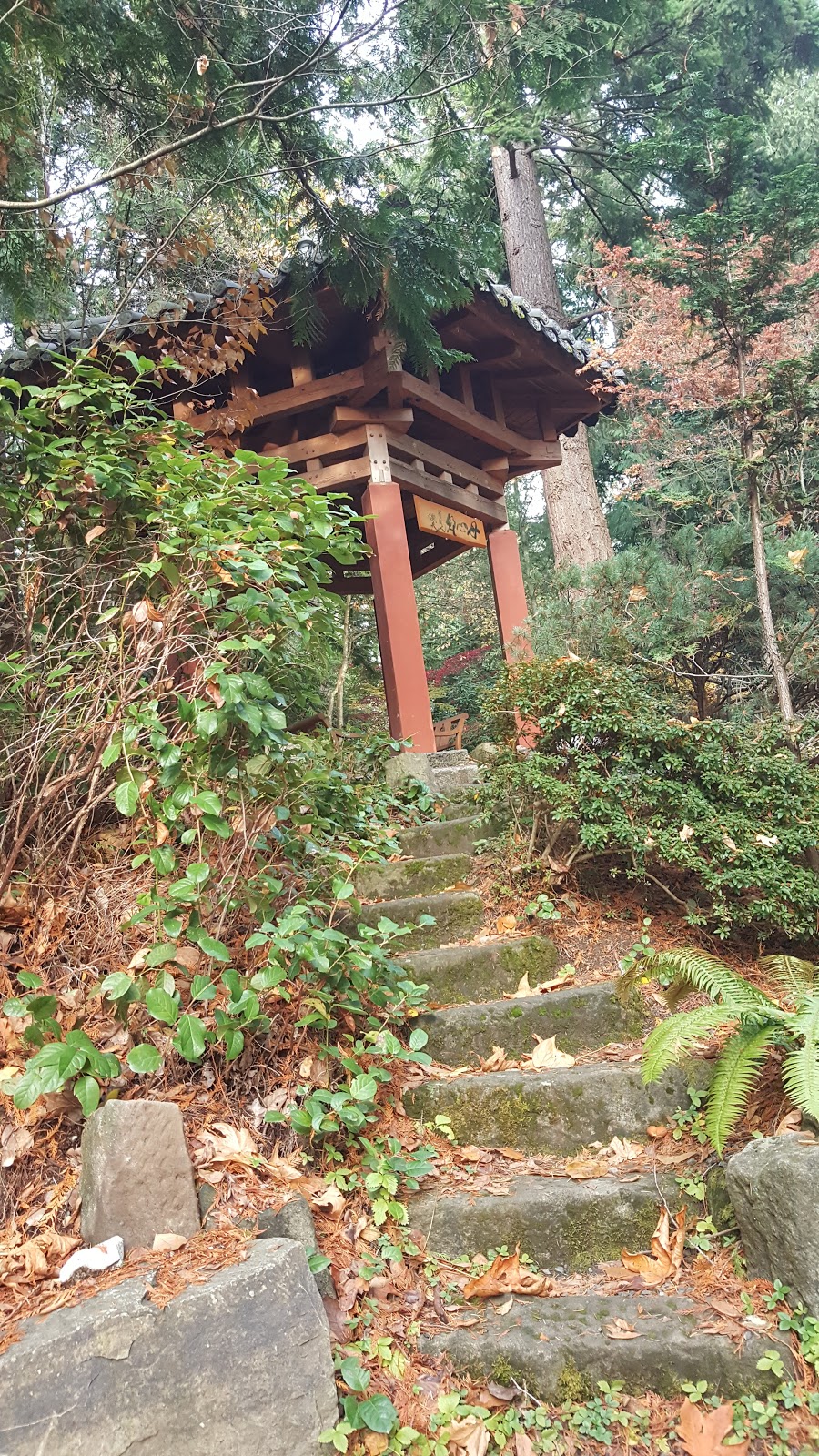 Big Rock Garden Park | 2900 Sylvan St, Bellingham, WA 98226, USA | Phone: (360) 778-7700