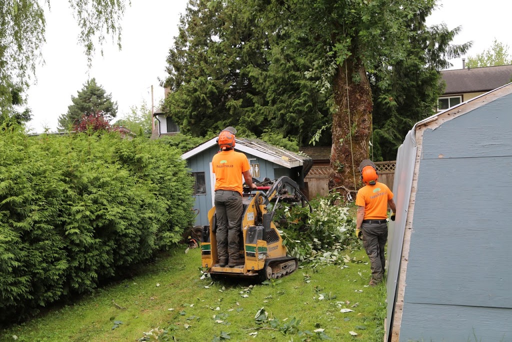 Fields Tree Service Inc. | 34351 Harris Rd, Abbotsford, BC V3G 1R8, Canada | Phone: (778) 838-9720