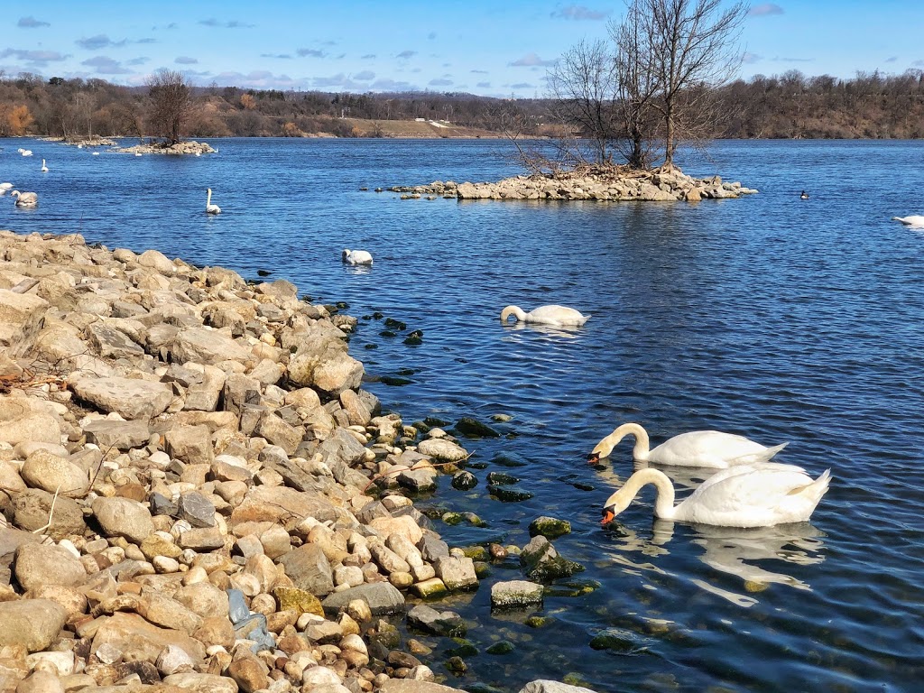 Waterfront Trail Lookout Point | Harbour Dr, Hamilton, ON, Canada | Phone: (416) 943-8080