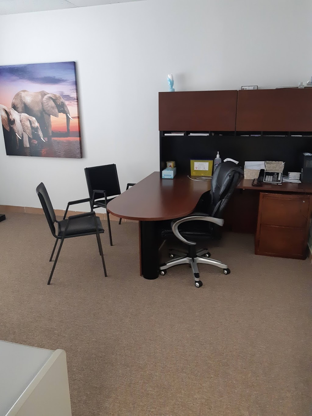 Active Health Group | 151 Pine Valley Blvd #5, London, ON N6K 3T6, Canada | Phone: (519) 690-2273