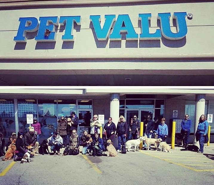 Pet Valu | 94 Bridgeport Rd E, Waterloo, ON N2J 2J9, Canada | Phone: (519) 886-6234