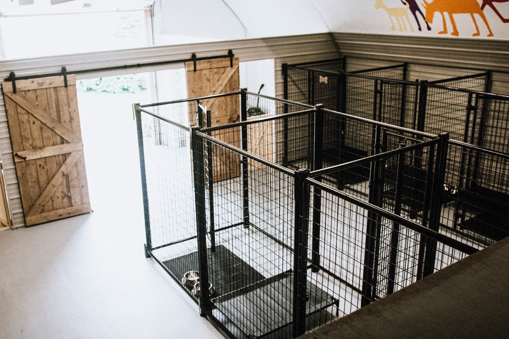 Angel Lane Pet Boarding | 433002 RR31, Rimbey, AB T0C 2J0, Canada | Phone: (403) 704-6180