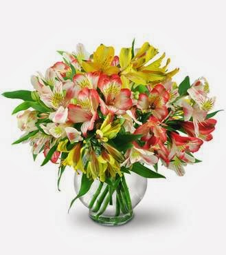 Barrington Florist | Historic Properties, 1869 Upper Water St, Halifax, NS B3J 1S9, Canada | Phone: (902) 423-9912