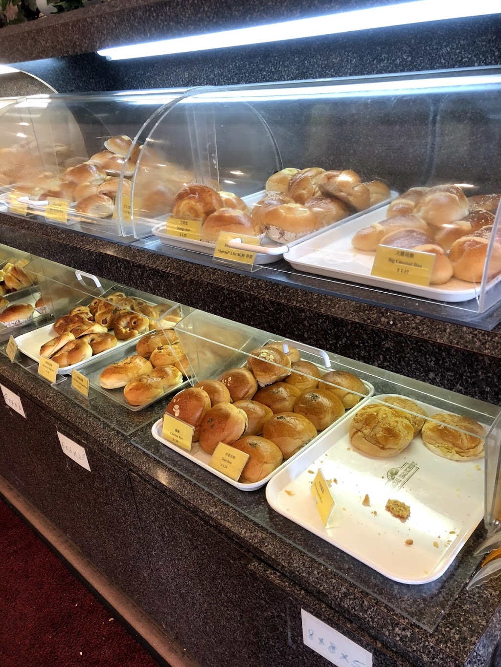 Akko Cake House | 4040 Creditview Rd #1, Mississauga, ON L5C 4E3, Canada | Phone: (905) 279-9281