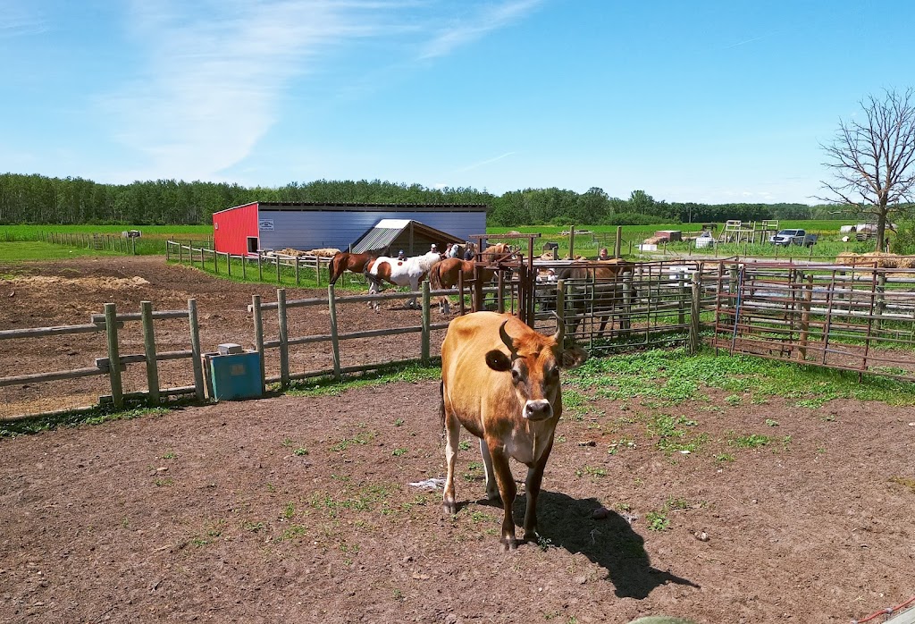 Kismet Creek Farm | 28134 Rd 35E, Steinbach, MB R5G 1M5, Canada | Phone: (204) 381-7766