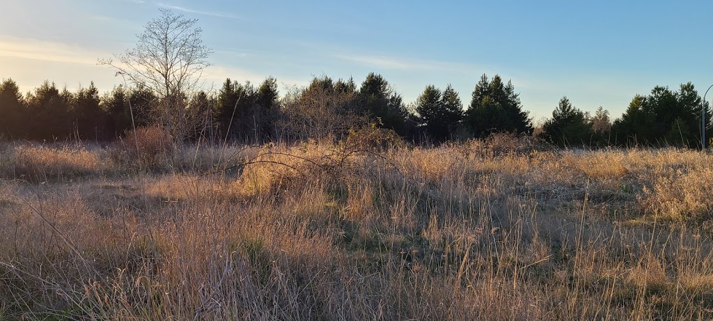 Parksville Wetlands Trail | Parksville, BC V9P 2V7, Canada | Phone: (250) 248-6144