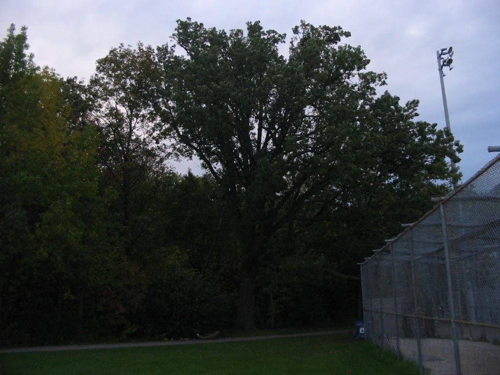 Millwood Park | 4370 Bloor St W, Toronto, ON M9C 2A6, Canada