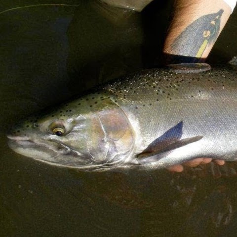 Fly Water Guiding & Fly Casting Intruction | 17 Alexander Ave, Paris, ON N3L 2V6, Canada | Phone: (226) 268-8397