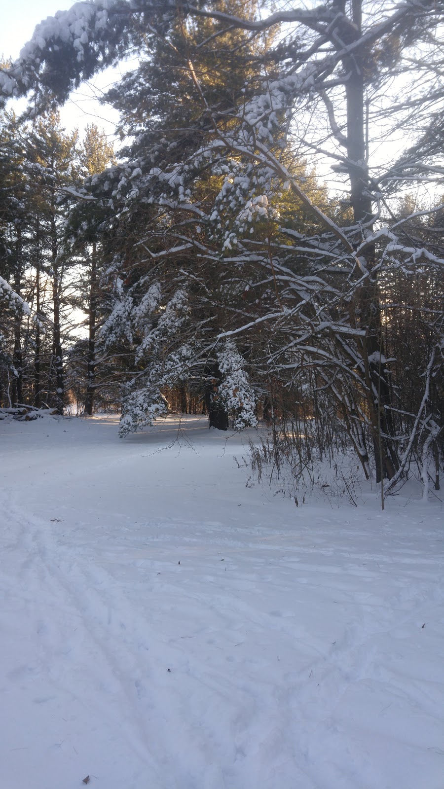 Hay Creek Conservation Area | 241 Port Ryerse Rd, Simcoe, ON N3Y 4K2, Canada
