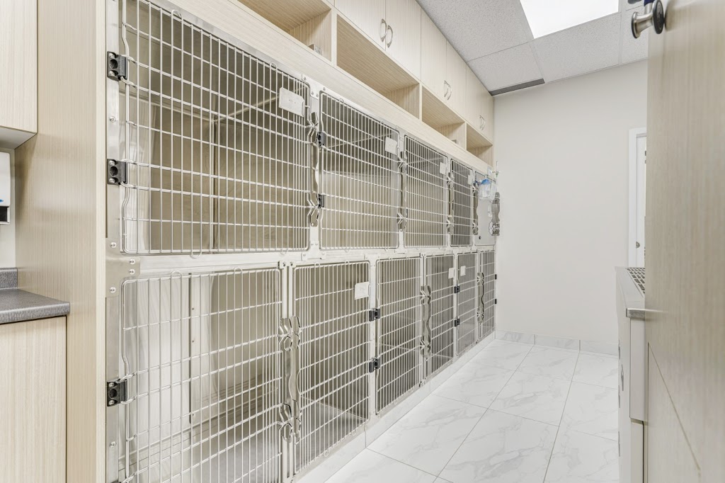 Springwood Animal Hospital (& HouseCall Services) | Springwood Animal Hospital, 1645 Dundas St E, Whitby, ON L1N 2K9, Canada | Phone: (905) 240-8100
