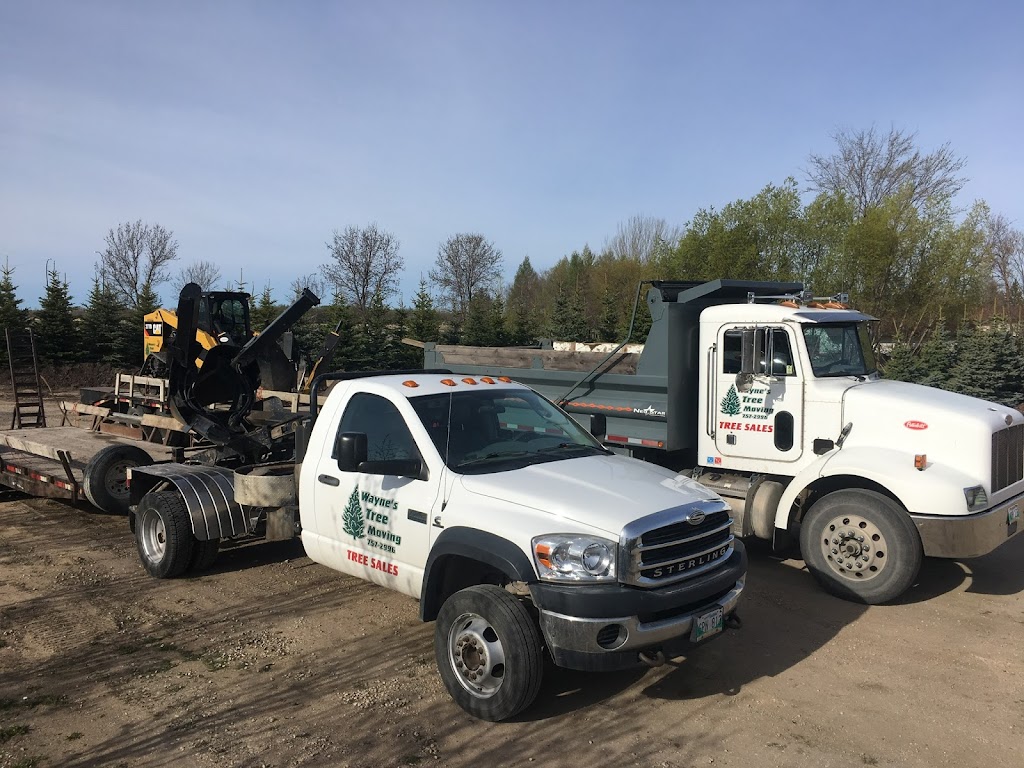 Waynes Tree Moving Inc | 73025 Kirkness Rd, Selkirk, MB R1A 2A8, Canada | Phone: (204) 757-2996