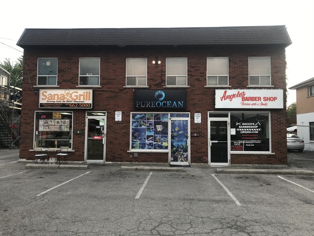 PureOcean Inc | 436 Highway #8 Unit B, Stoney Creek, ON L8G 1G3, Canada | Phone: (416) 720-9673