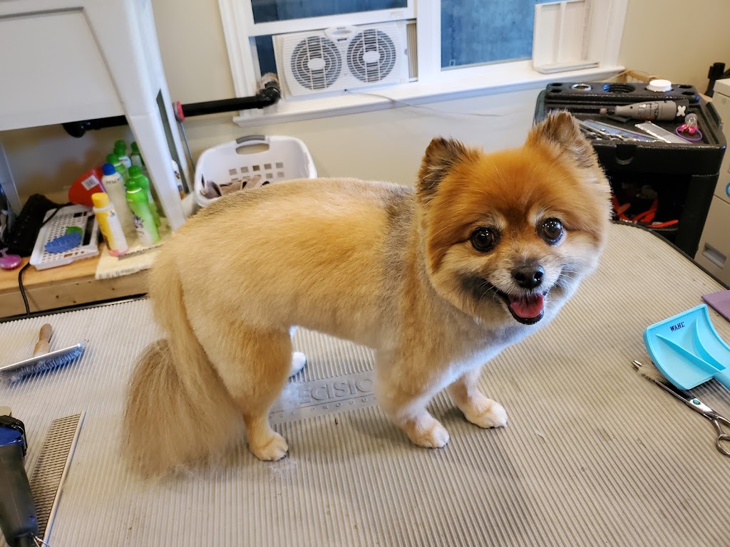 CCs Pet Spaw | 1124 Fern Ridge Dr, Mill Bay, BC V0R 2P2, Canada | Phone: (250) 686-8260