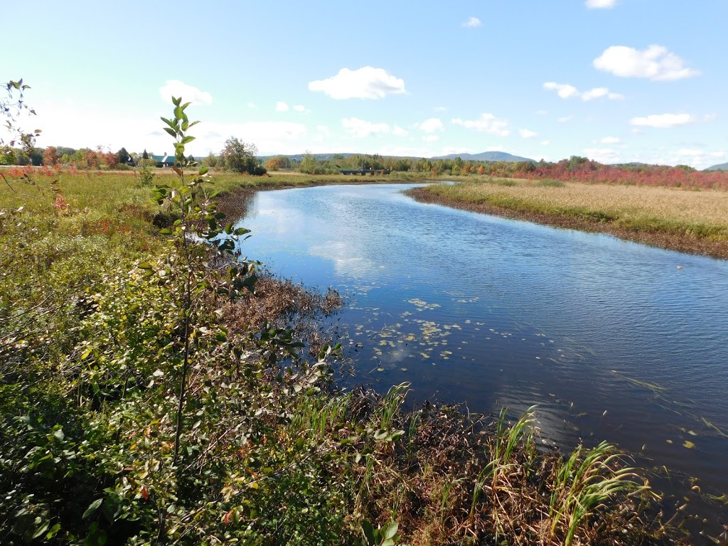 Marais de la Rivière aux Cerises | 69 Chemin Roy, Magog, QC J1X 0N4, Canada | Phone: (819) 843-8118