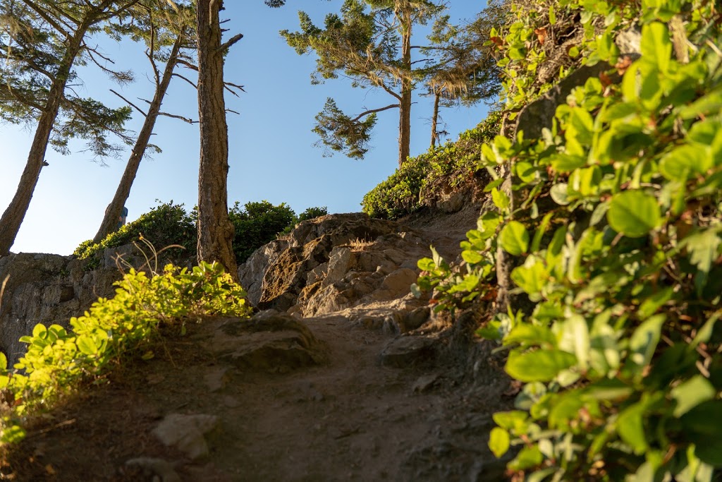 Pacific NW Trail | Pacific NW Trail, Oak Harbor, WA 98277, USA