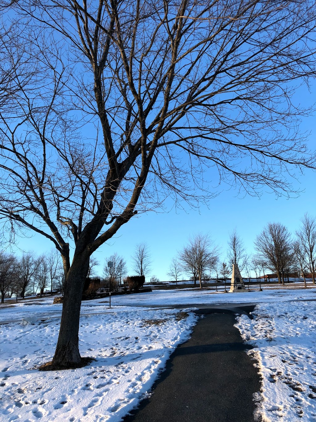 Park Avenue Community Oven | Leighton Dillman Park, 36 Park Ave, Dartmouth, NS B3A, Canada