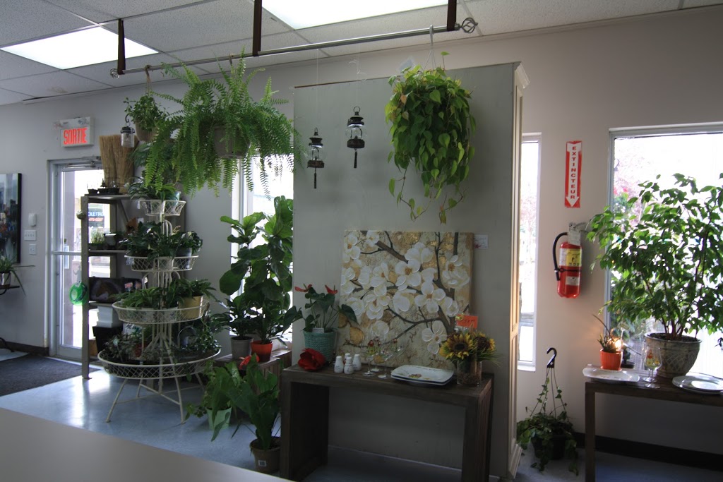 Jardin dAnick | 15166 Rue de Saint Augustin, Mirabel, QC J7N 1X2, Canada | Phone: (450) 475-8002