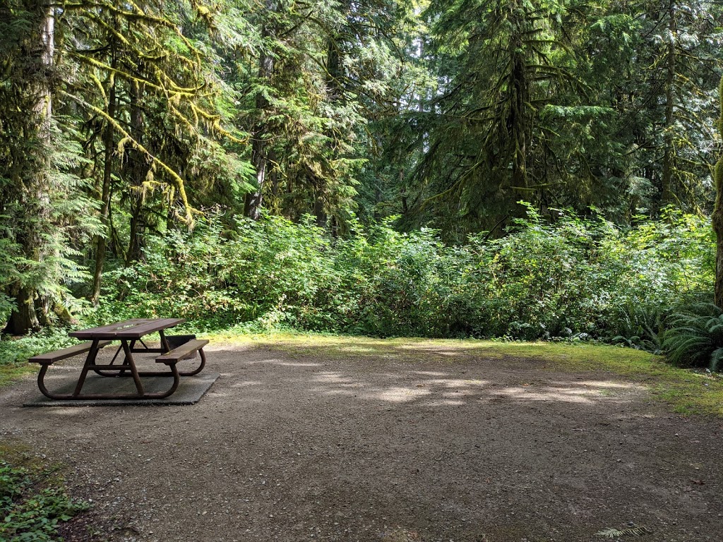 Mermaid Cove, Saltery Bay Provincial Park | 11471 BC-101, Powell River, BC V8A 0N1, Canada | Phone: (604) 286-9992