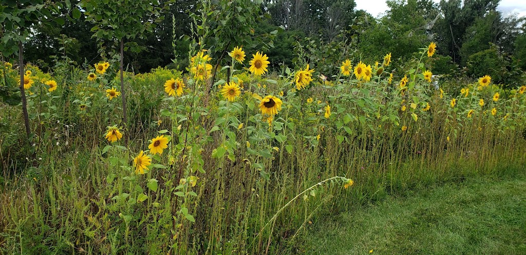"R" FARM | 3388 Concession Rd 3, Newcastle, ON L1B 1L9, Canada | Phone: (905) 987-5090