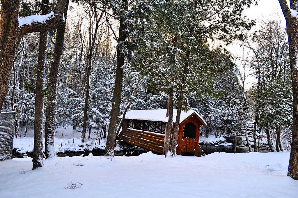 Chalet bois rond | 5929 QC-220, Orford, QC J1X 6L3, Canada | Phone: (450) 500-1515